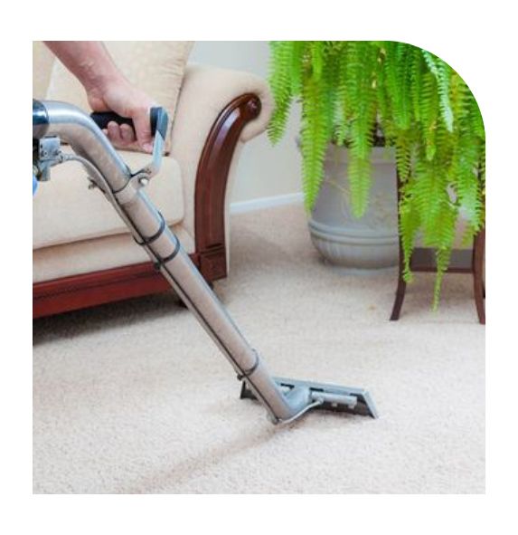 professional carpet steam cleaning services