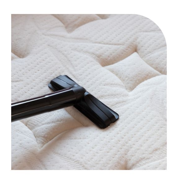 Professional mattress cleaning service