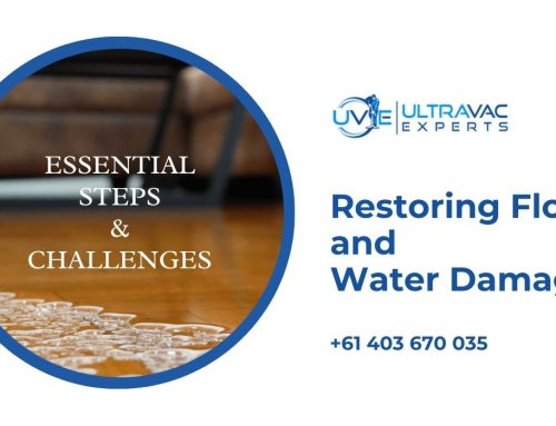 Understanding the Steps Involved Challenges and   in Restoring Flood and Water Damage