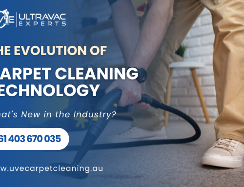 The Evolution of Carpet Cleaning Technology: What’s New in the Industry?