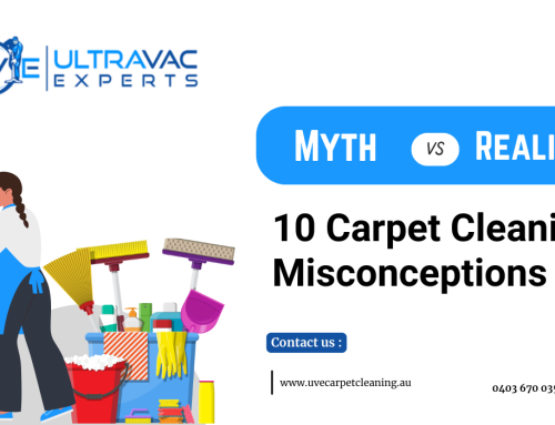 Carpet Cleaning Myths Busted: What You Need to Stop Believing