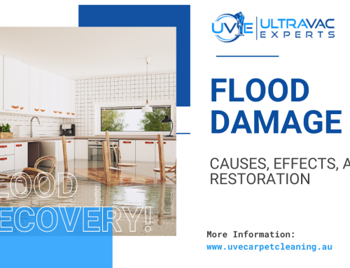 Flood Damage: Causes, Effects, and Restoration Solutions