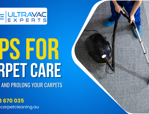 Protect Your Flooring Investment: Expert Carpet Maintenance Tips