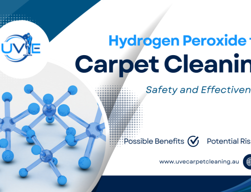 Should You Use Hydrogen Peroxide on Carpets? A Comprehensive Guide