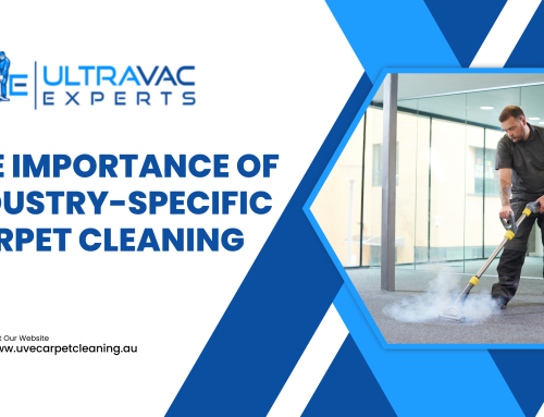 Commercial Carpet Cleaning for Different Industries: Tailored Solutions for Long-Lasting Cleanliness