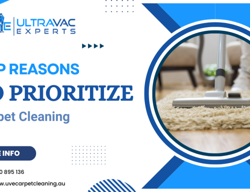 2025 Home Care Goals: Why Carpet Cleaning Should Be Your First Step