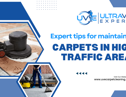 Professional Insights on Keeping Carpets Clean in High-Traffic Areas